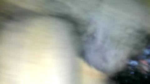 1317