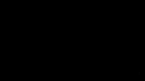 23981