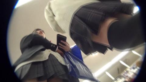 27256
