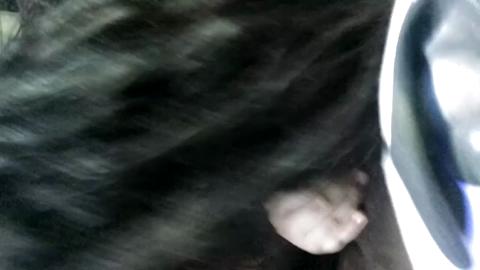 6065