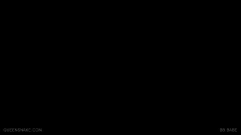 18566